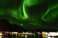 Polarlicht über Svolvær, Lofoten