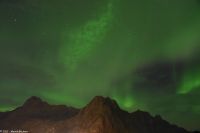 Polarlicht über Svolvær, Lofoten