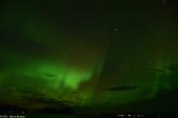 Polarlicht über den Lofoten