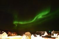 Polarlicht über Stamsund, Lofoten