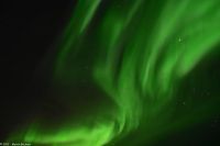 Polarlicht über dem Vestfjord