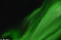 Polarlicht über dem Vestfjord