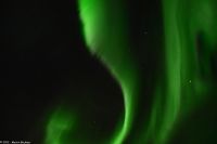 Polarlicht über dem Vestfjord