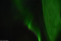 Polarlicht über dem Vestfjord