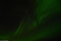 Polarlicht über dem Vestfjord