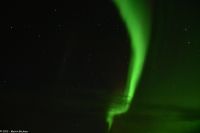 Polarlicht über dem Vestfjord