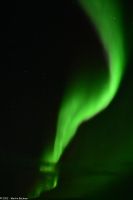 Polarlicht über dem Vestfjord