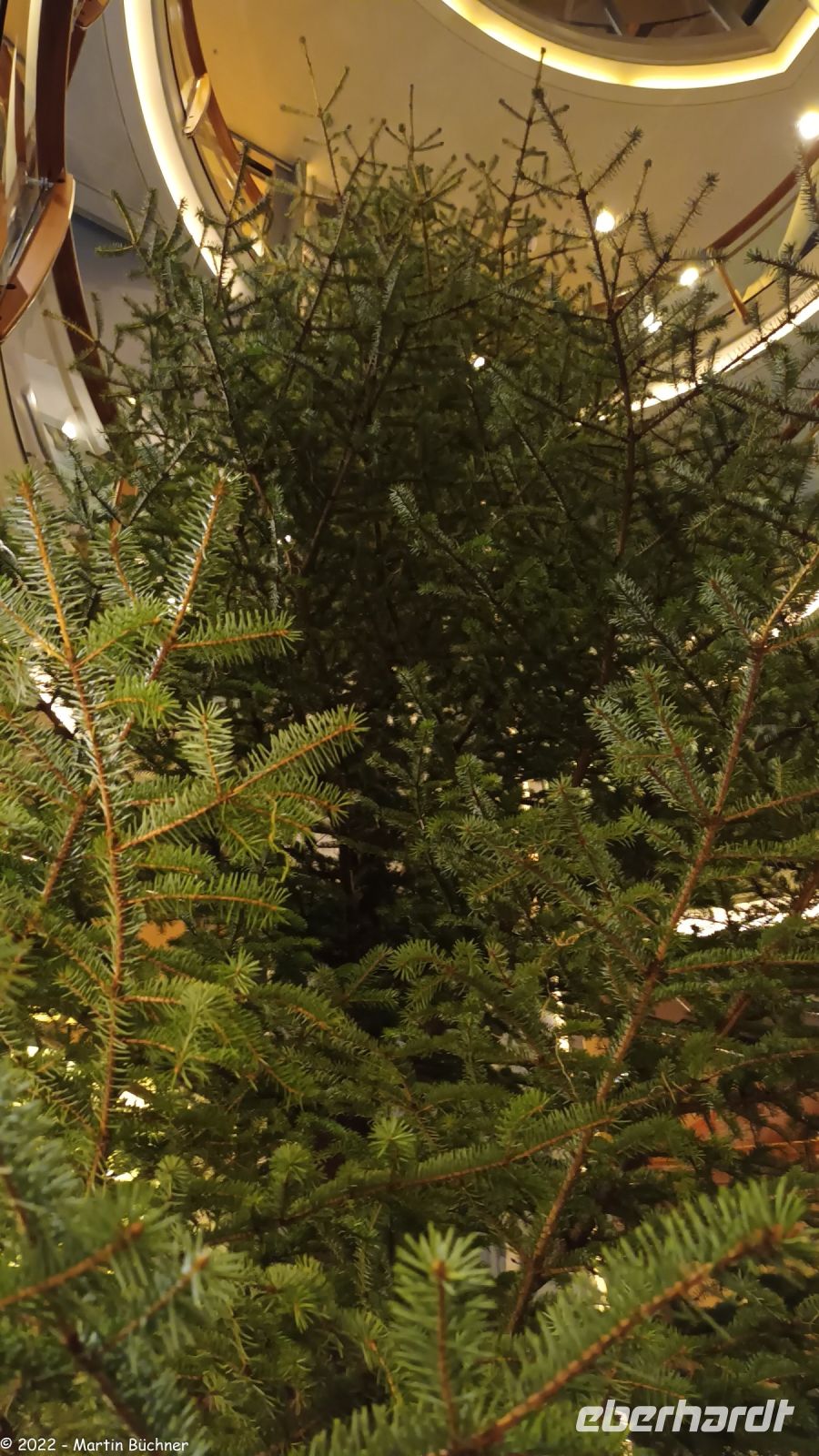 Helgelandskysten in der Provinz Nordland - In Brønnøysund wird der Weihnachtsbaum für die M/S Trollfjord geliefert