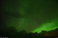 Nordlicht, Nordlys über dem Seegebiet der Folda kurz vor Rørvik im Vikna Archipel