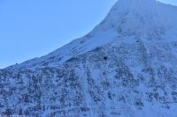 Nordland - Helgelandskysten - Märchenküste Helgeland - Seeadler (Bildmitte)