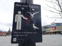 Hurtigruten - Trondheim 