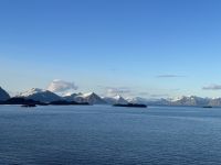 Hurtigruten - Lofoten 