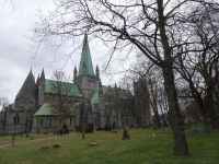 Hurtigruten - Trondheim - Nidarosdom 