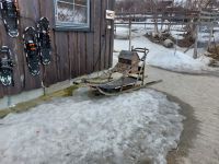 Kirkenes - Husky Tour