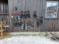 Kirkenes - Husky Tour 