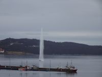 Hurtigruten - Harstad 