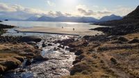 Strand auf den Lofoten
