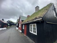 viele Häuser in Tórshavn haben Grasdächer