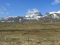 Hurtigruten - Kreuzfahrt MS Spitsbergen - Island - Bkkagerdi