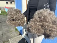 Hurtigruten - Kreuzfahrt MS Spitsbergen - Island - Bkkagerdi