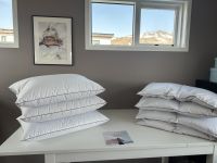 Hurtigruten - Kreuzfahrt MS Spitsbergen - Island - Bkkagerdi