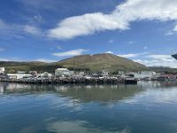 Island - Husavik 