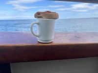 Kaffee und Kuchen auf Whale watching Tour
