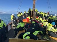 Island - Husavik - Whale watching