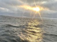 Hurtigruten - MS Spitsbergen - auf See