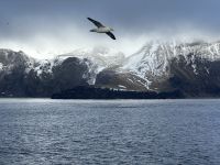 Hurtigruten - MS Spitsbergen - Jan Mayen 