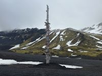 Hurtigruten - MS Spitsbergen - Jan Mayen 