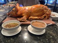 Hurtigruten - MS Spitsbergen 