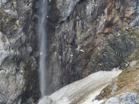 Hurtigruten - MS Spitsbergen  - Spitzbergen 