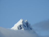 Hurtigruten - MS Spitsbergen  - Spitzbergen 
