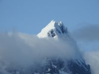 Hurtigruten - MS Spitsbergen  - Spitzbergen 