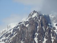 Hurtigruten - MS Spitsbergen  - Spitzbergen 