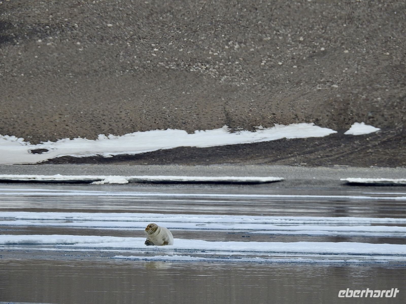 Hurtigruten - Spitzbergen