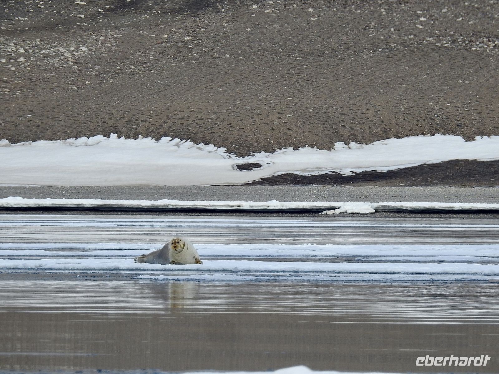 Hurtigruten - Spitzbergen