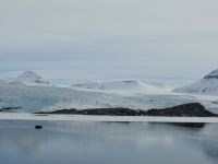 Hurtigruten - Spitzbergen