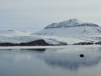 Hurtigruten - Spitzbergen