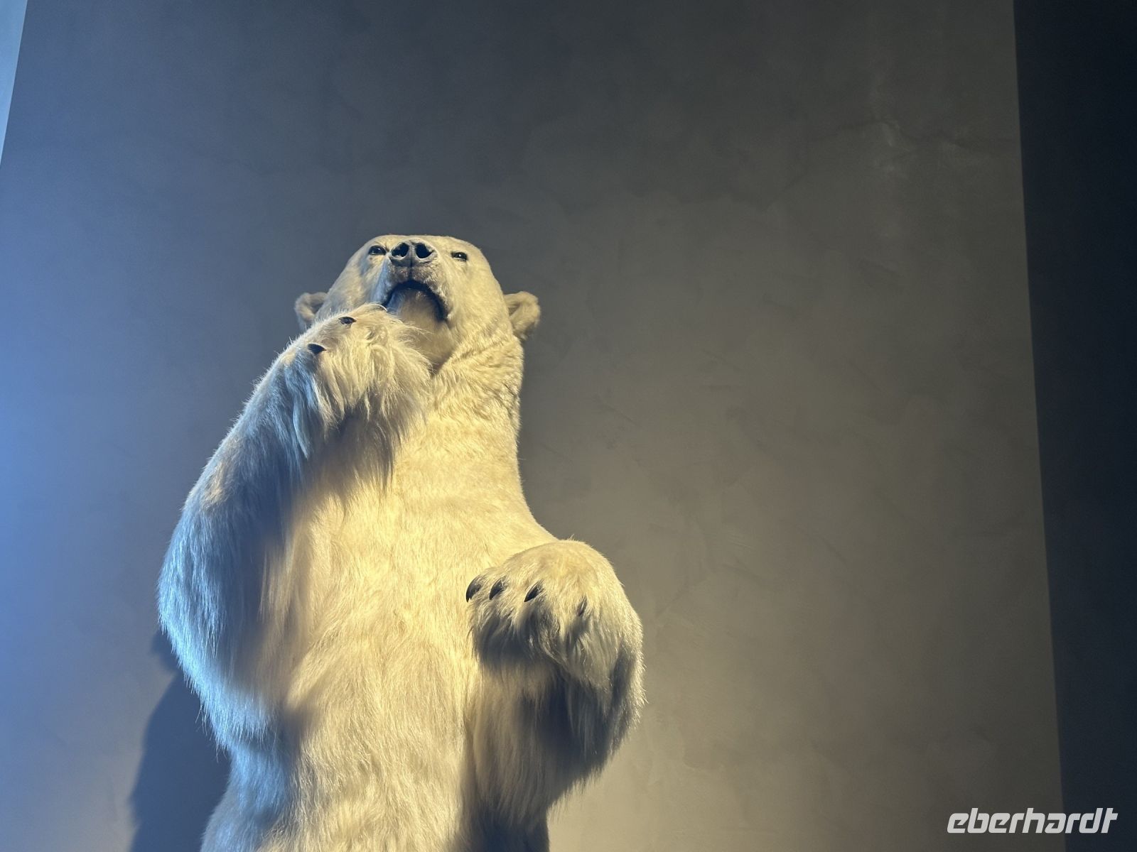 Hurtigruten - Spitzbergen - Longyearbyen 