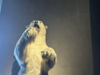 Hurtigruten - Spitzbergen - Longyearbyen 