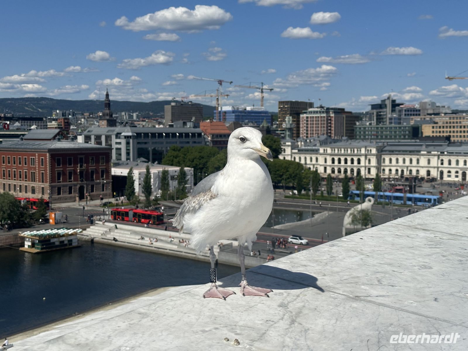 Hurtigruten - Norwegen - Oslo 