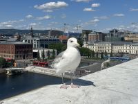 Hurtigruten - Norwegen - Oslo 