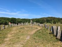 Schiffssetzung Blomsholm