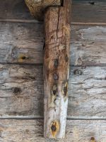 Bryggen - das Hanseviertel außerhalb der Bergener Altstadt ist UNESCO-Weltkulturerbe