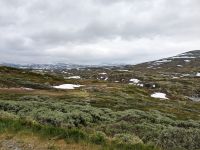 Hardangervidda - Europas größte Hochfläche