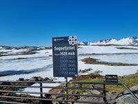 Sognefjell
