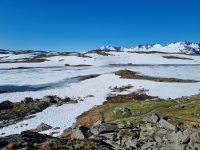 Sognefjell 