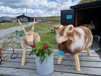 Hardangervidda - Sami-Camp